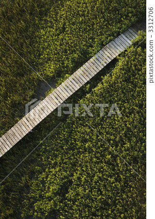 Boardwalk over marsh. 3312706