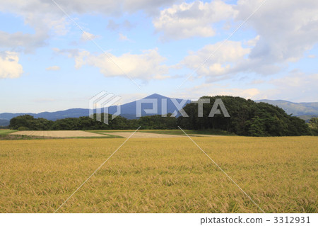 公主山和農村風景 公主山和農村風景 3312931