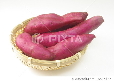 Sweet potato 3313186