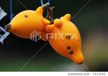 Decorative vegetables 3313281