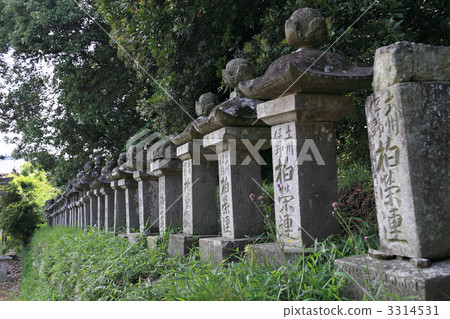 One of the Kimbura Five Roads Io Tosa Highway's elephant mountain south foot "Ushiya mouth" 3314531