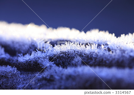 Winter image First frost 3314567