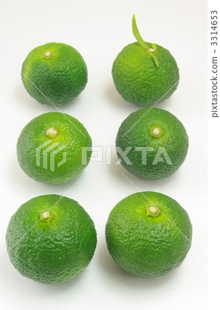 香櫞 香櫞 3314653