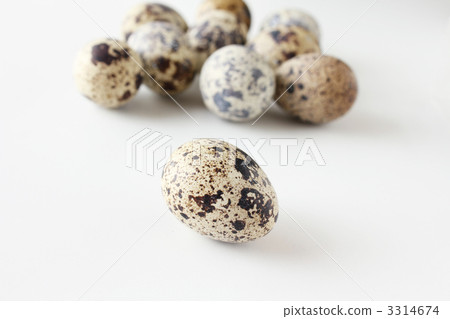 Quail eggs 3314674