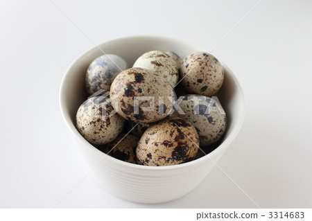 Quail eggs 3314683