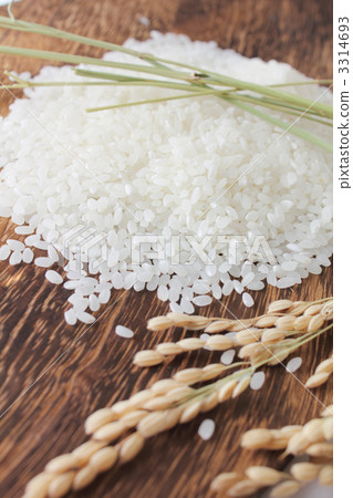 來自茨城縣的Akitakomochi 來自茨城縣的Akitakomochi 3314693