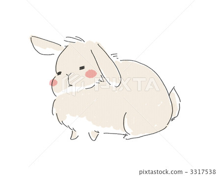 My rabbit Sherry-chan 3317538