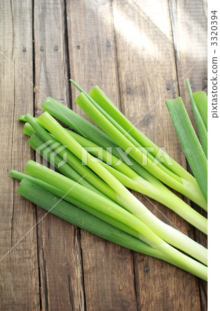Soft and delicious Hokkaido white spring onions - fresh long spring onions Soft and delicious Hokkaido white spring onions - fresh long spring onions 3320394