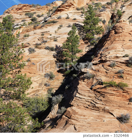 Zion National Park, Utah. Zion National Park, Utah. 3320466