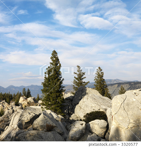 Wyoming mountain landscape. 3320577