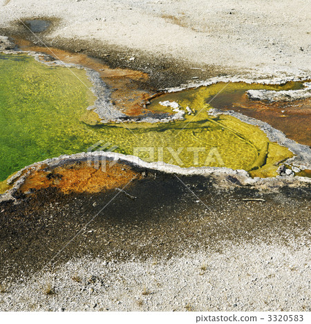 Geyser basin in Yellowstone. Geyser basin in Yellowstone. 3320583