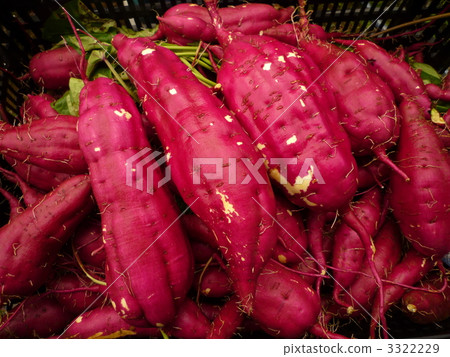 Sweet potato · Venezuma 4 3322229