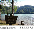 Sainoko 3322278
