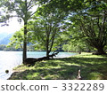 Sainoko 3322289