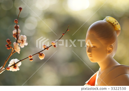 Hakata doll and plum flower 3322530