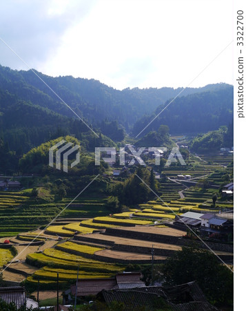 terraced rice-fields, 100 greatest, step-wise 3322700