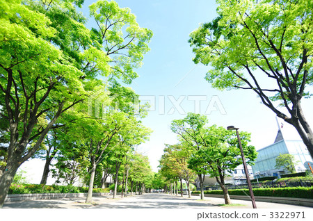 春天公園 3322971