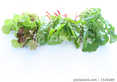 Vegetable Fresh salad vegetables 3326889