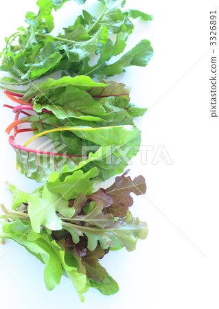 Vegetable Fresh salad vegetables 3326891