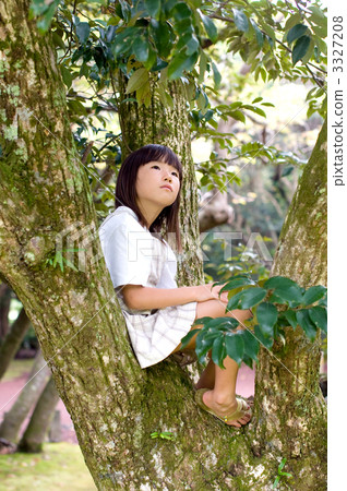 Tree climbing girl 3327208