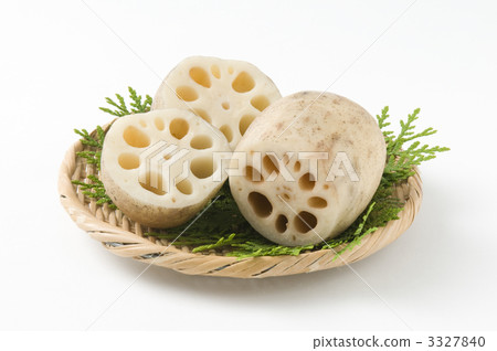 蓮藕蓮花白背 3327840