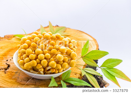 Stocked Namesko 3327870