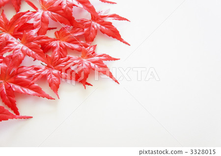 Autumn leaves 3328015