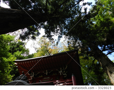 Nakano Fudo and cedars Nakano Fudo and cedars 3328023