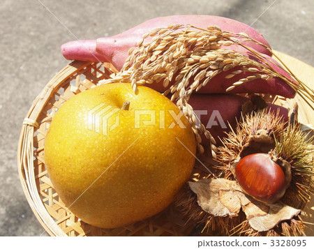秋天的食物 秋季的水果 秋天收穫季 3328095