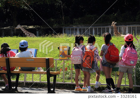 man and woman, men and woman, elementary student 3328161