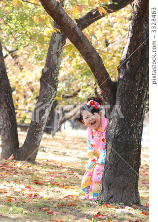 Shichigosan Shichigosan 3328463