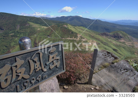 Kusakamidake 3328503