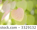 Heart-shaped pink leaves 3329132