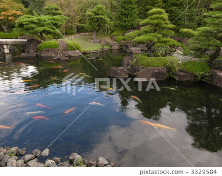 Okonomiya pine garden 3329584
