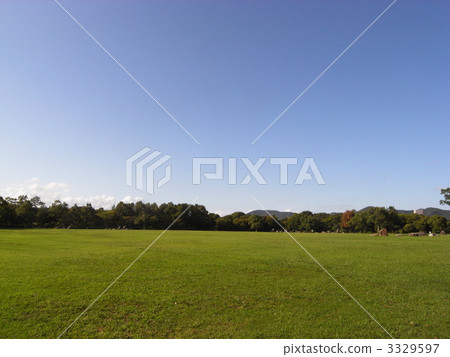 Akohi Beach Park Lawn Square 3329597