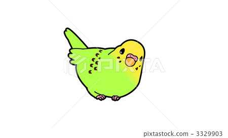 Sekisei長尾小鸚鵡 Sekisei長尾小鸚鵡 3329903