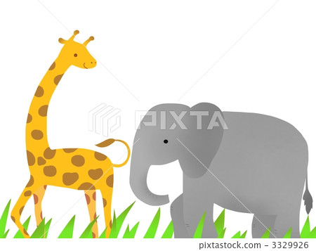 giraffe, elephant, elephants 3329926