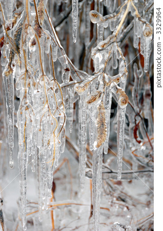 Icicle Icicle 3329964