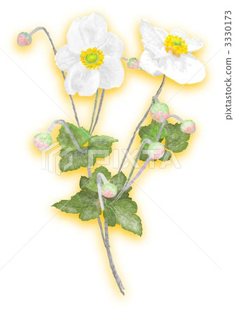 Autumnal flowers flowers 3330173