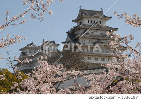 Himeji Castle and Sakura Himeji Castle and Sakura 3330197