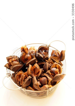 Camellia seeds 3330496