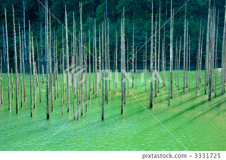 Scenery of natural lake 3331725