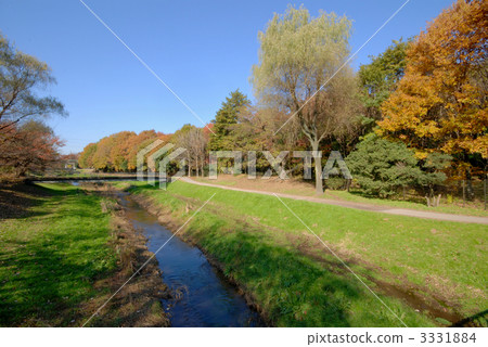 Nogawa Park Nogawa Park 3331884