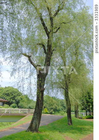 Nogawa Park Nogawa Park 3331989