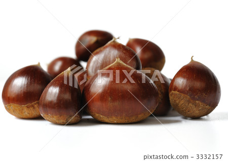 Chestnut Autumn taste 3332157