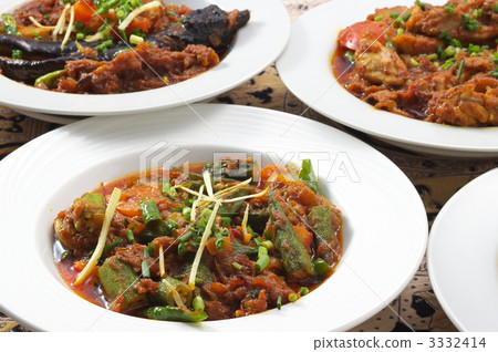 Indian cuisine Indian cuisine 3332414