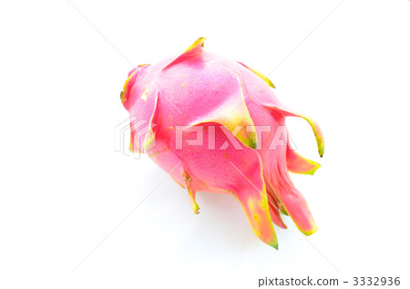  Dragon fruit  3332936