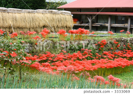 秋天的鄉村花園 3333069