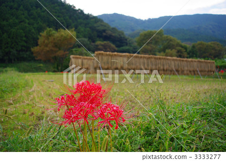 Satoyama no Fall 2 Satoyama no Fall 2 3333277