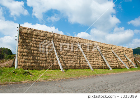 Hazzard of Kaeda Kogen Hazzard of Kaeda Kogen 3333399